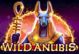 Wild Anubis
